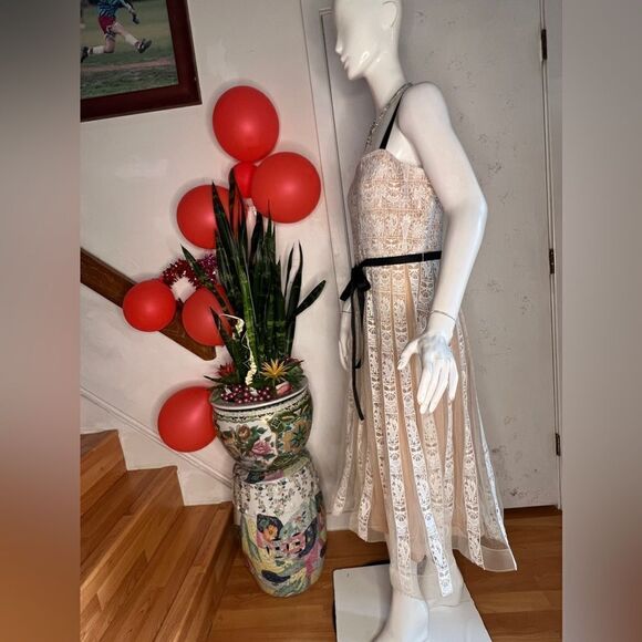 New Anthropologie Mare Mare Lace Corset Midi Dress - Picture 4 of 6